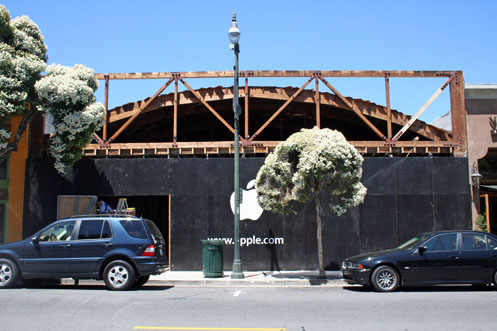 apple los gatos