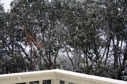 porch winter