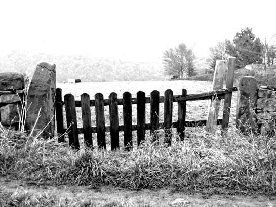 scottish gate